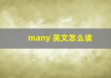 many 英文怎么读